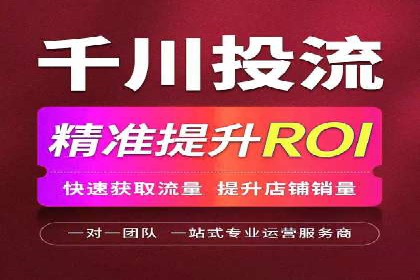 百度SEO推广公司案例精选：助力企业快速崛起